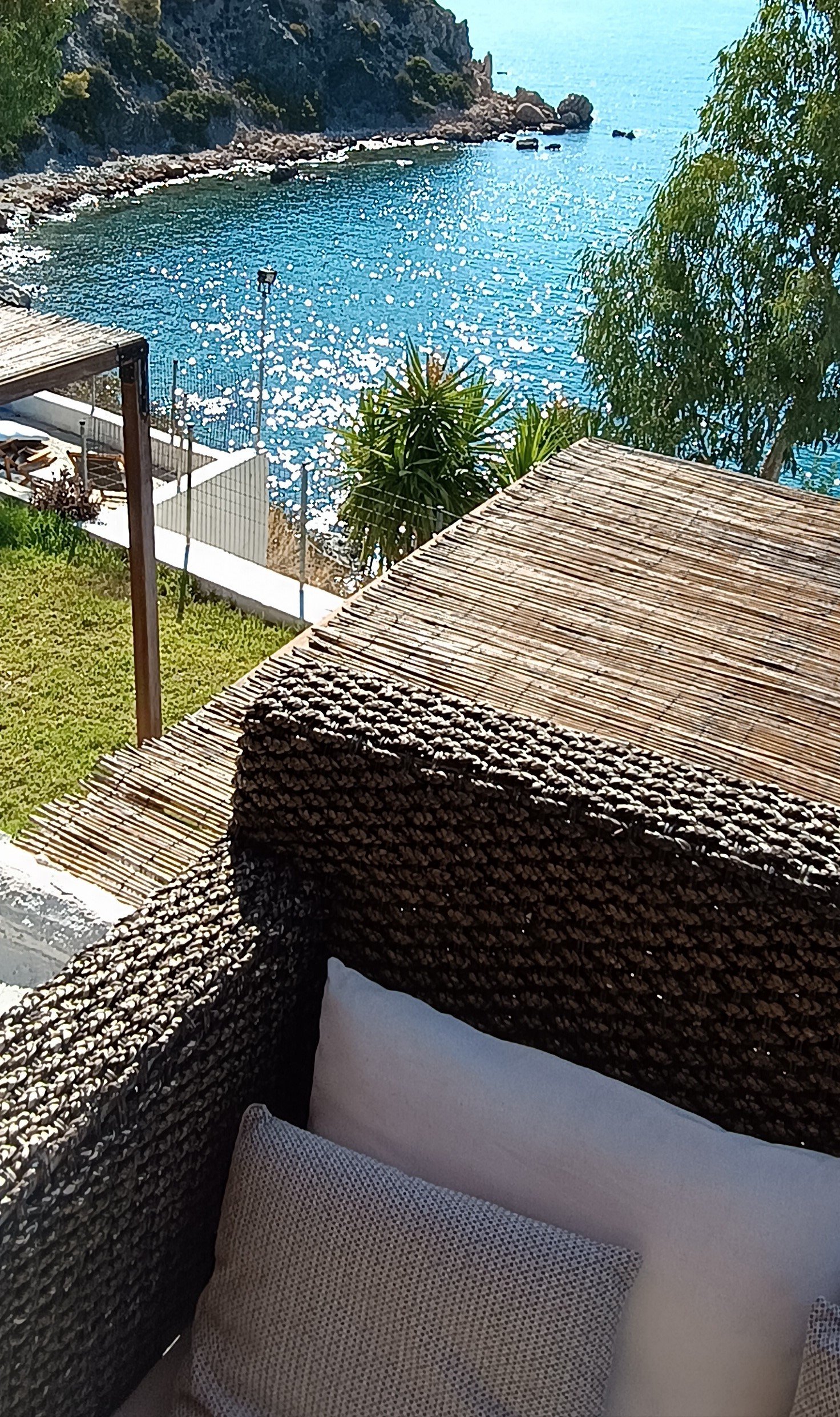 IMG_20240808_100419 1